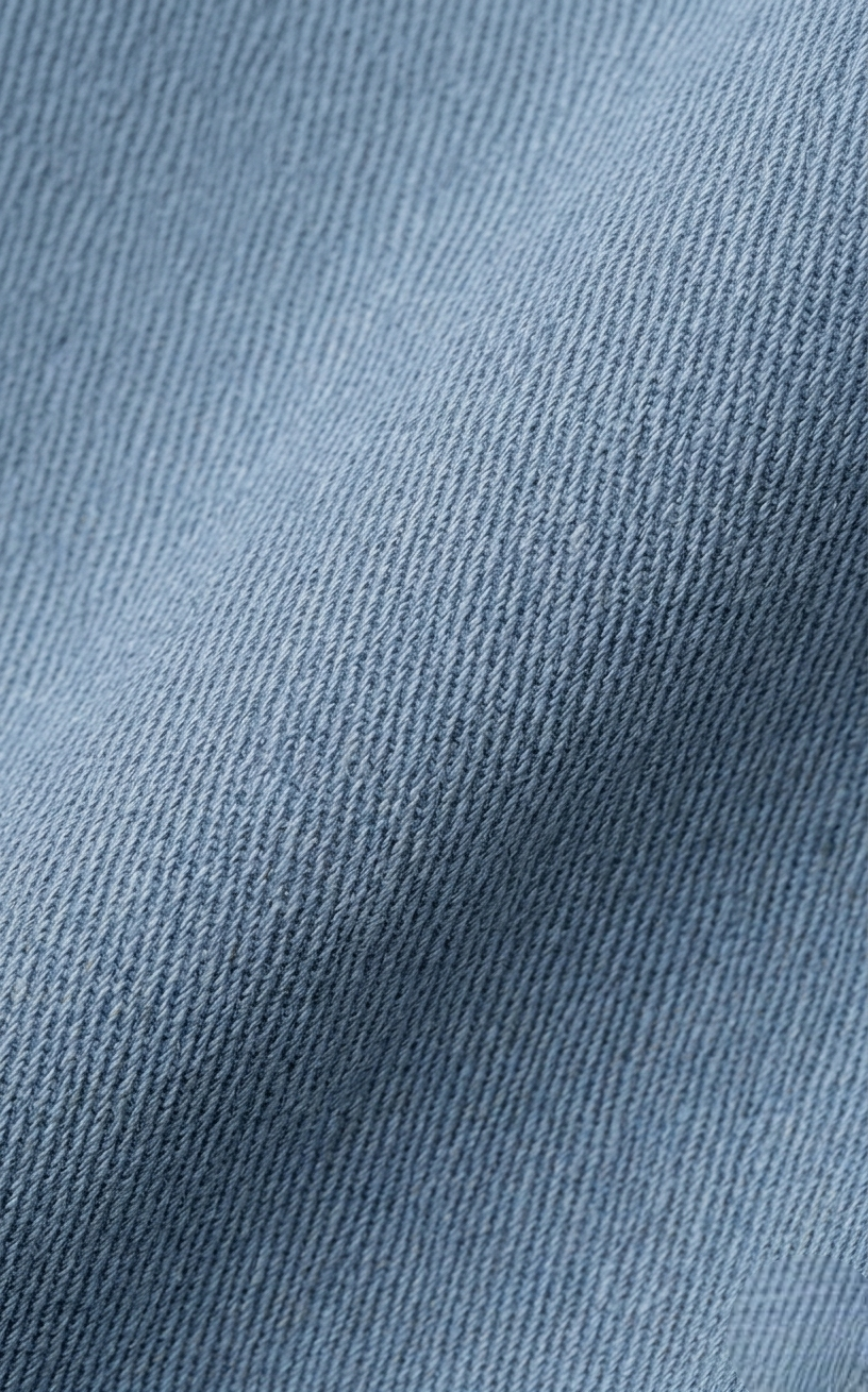 Areila Tailored Slim Chino